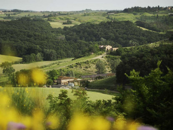 fattoria barbialla nuova