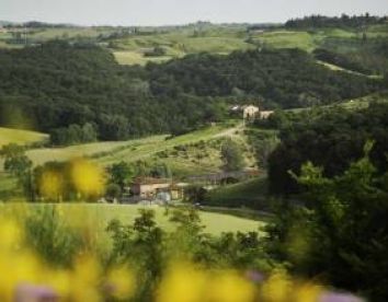 fattoria barbialla nuova