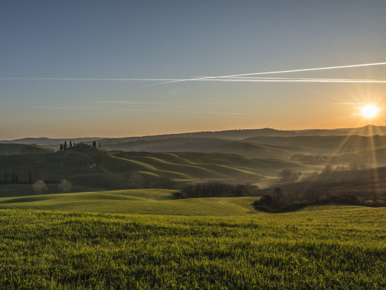 il girasole del terzuolo