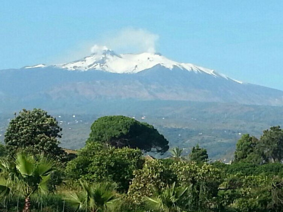 Cirasella Etna