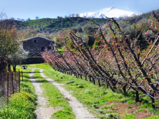 La conca dell'Etna