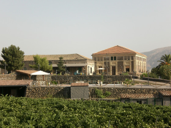 Etna Wine