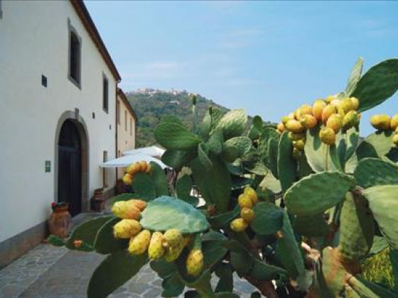 Casali di Margello