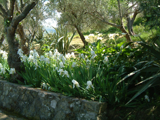 Casali di Margello