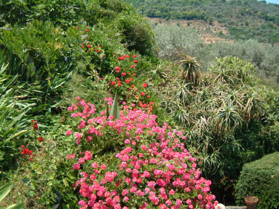 Casali di Margello