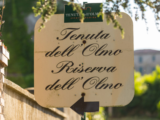 Riserva Dell'Olmo