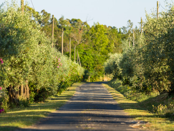 Riserva Dell'Olmo