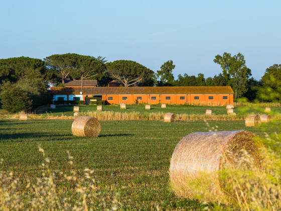 Riserva Dell'Olmo