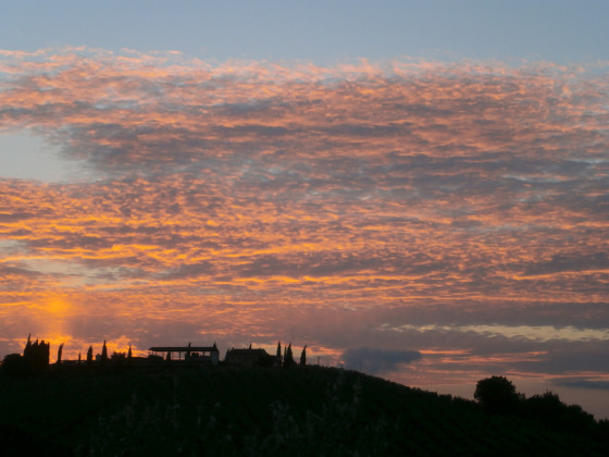 Tenuta Colverano