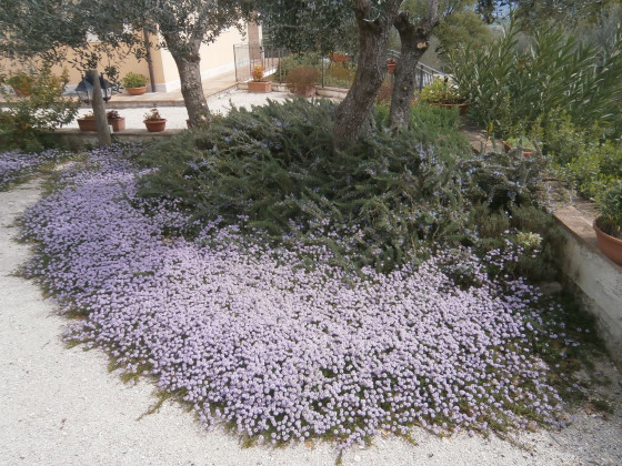 Tenuta Colverano