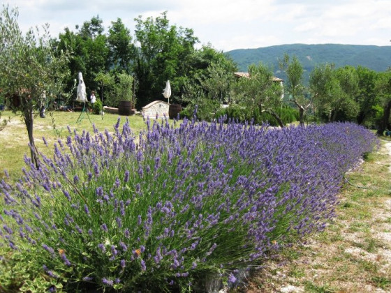 Il Fienile di Orazio