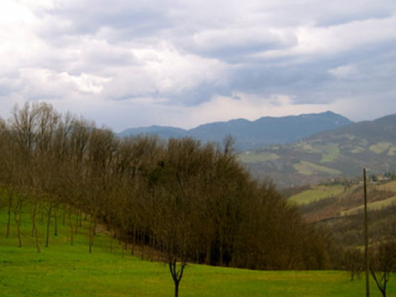 il mio rifugio