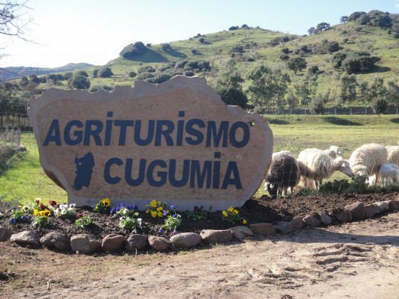 cugumia