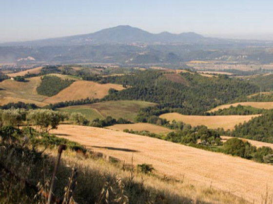 Poggio Del Bolognino