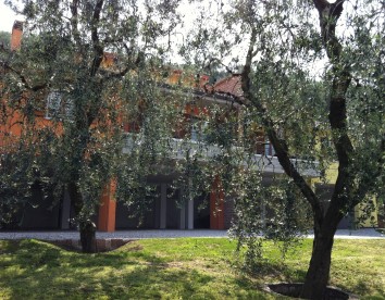 Residence Uliveta - Brenzone