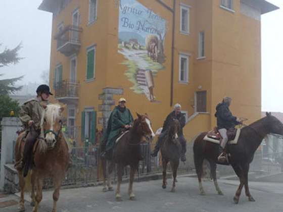 agritur tenno bio natura 