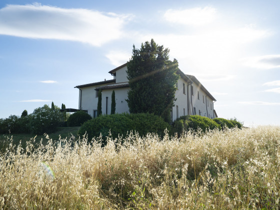 Podere Cantagrillo