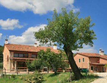 Farm-house Monte Degli Aromi - Villaga