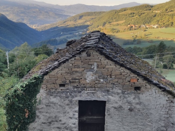 La Vigna di San Pietro