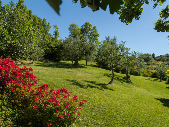 Locanda del Gallo