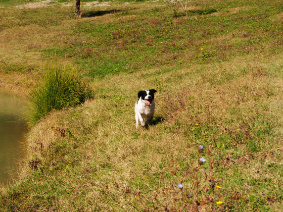 Fattoria Voltrona