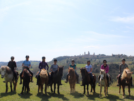 Fattoria Voltrona