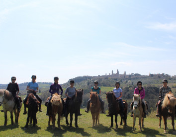 Fattoria Voltrona foto 17