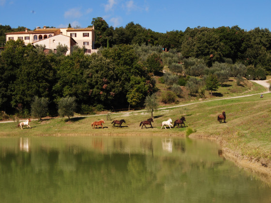 Fattoria Voltrona