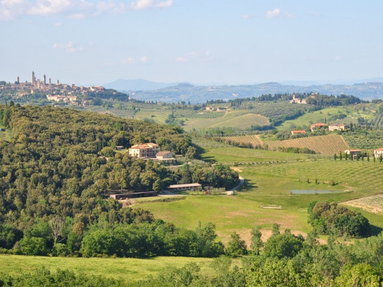 Fattoria Voltrona