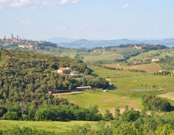 Fattoria Voltrona foto 24