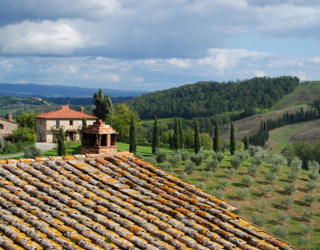 Fattoria Voltrona foto 23