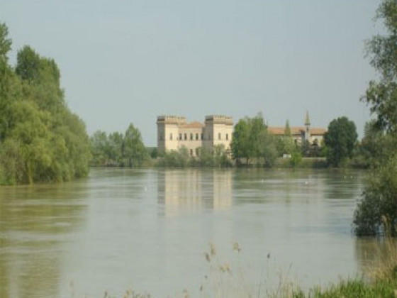 Tartufo del Delta