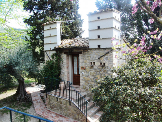 Il Mulino delle Canutole