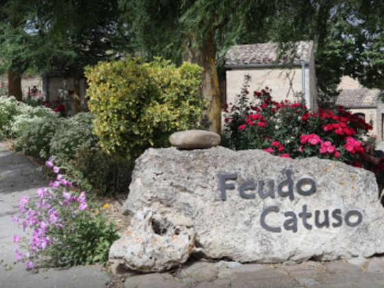 Feudo Catuso